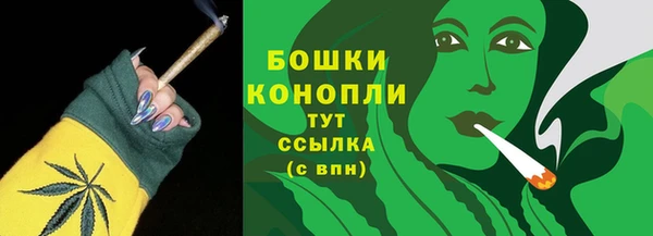 гидра Кущёвская