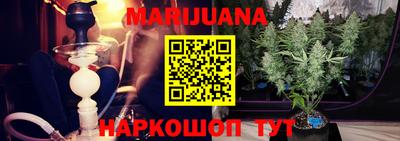 сатива Заводоуковск