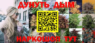 сатива Заводоуковск