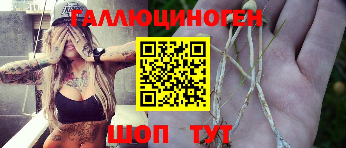 Псилоцибиновые грибы Cubensis  Надым 