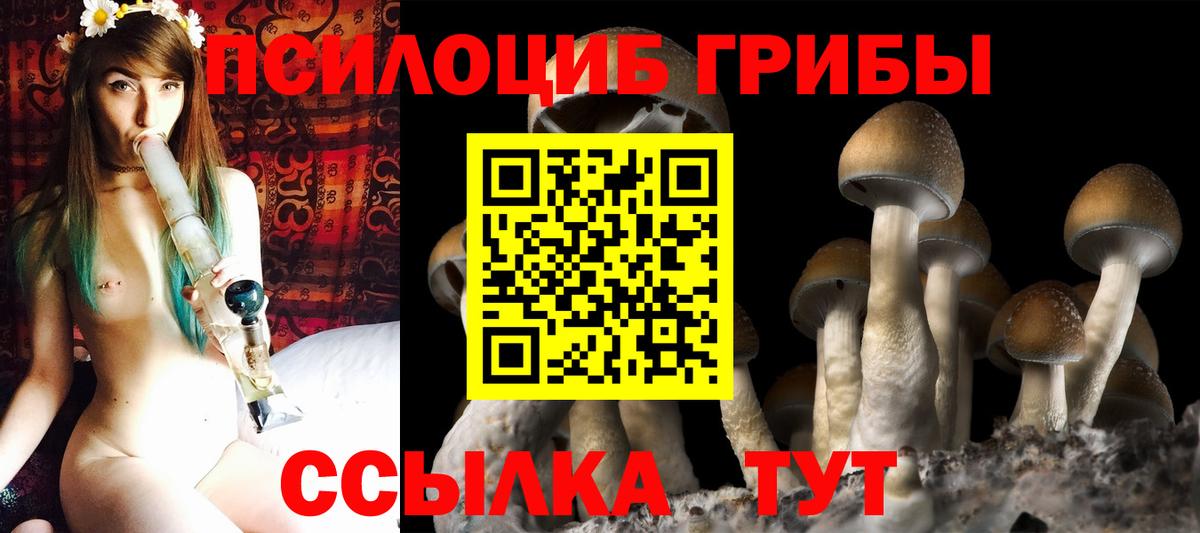 Галлюциногенные грибы MAGIC MUSHROOMS  Вход с VPN  купить наркоту  Надым 