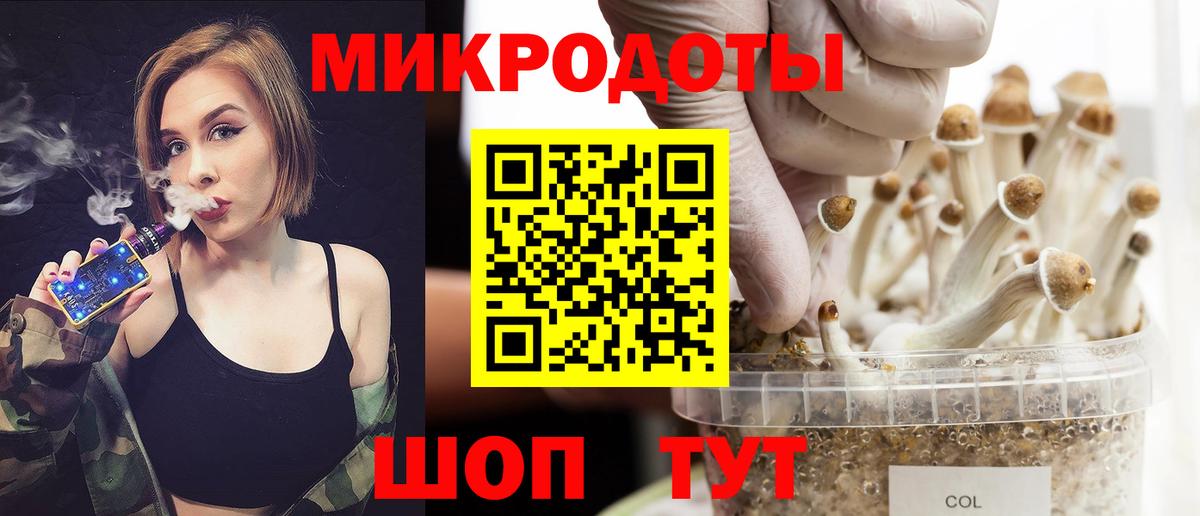 Галлюциногенные грибы Psilocybine cubensis Надым