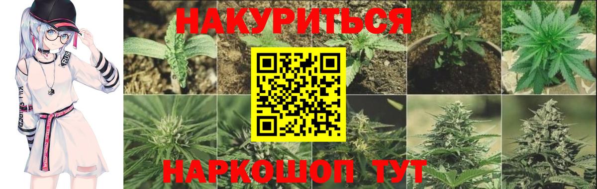Шишки марихуана конопля  Вход с VPN  Каннабис планчик  Канабис Bruce Banner  Надым  Конопля Ganja 